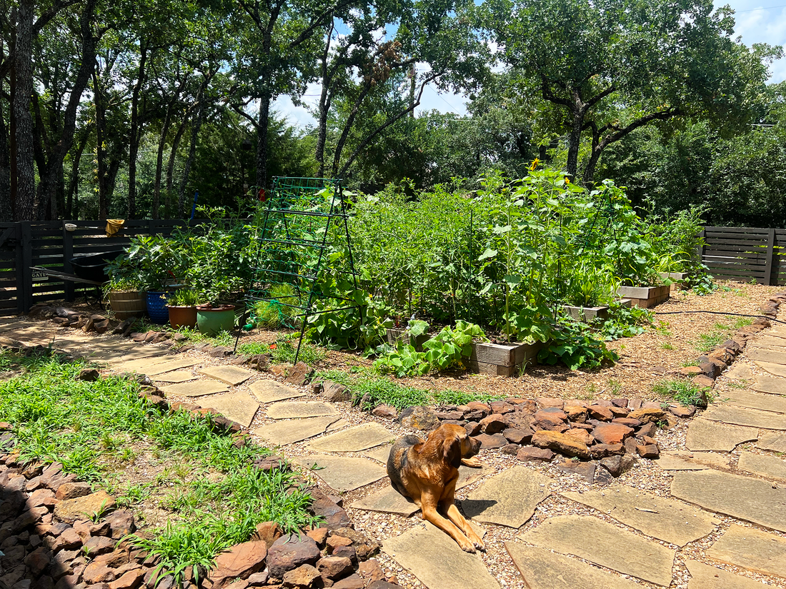 Is This for You? (and when it might be, and that’s okay!)