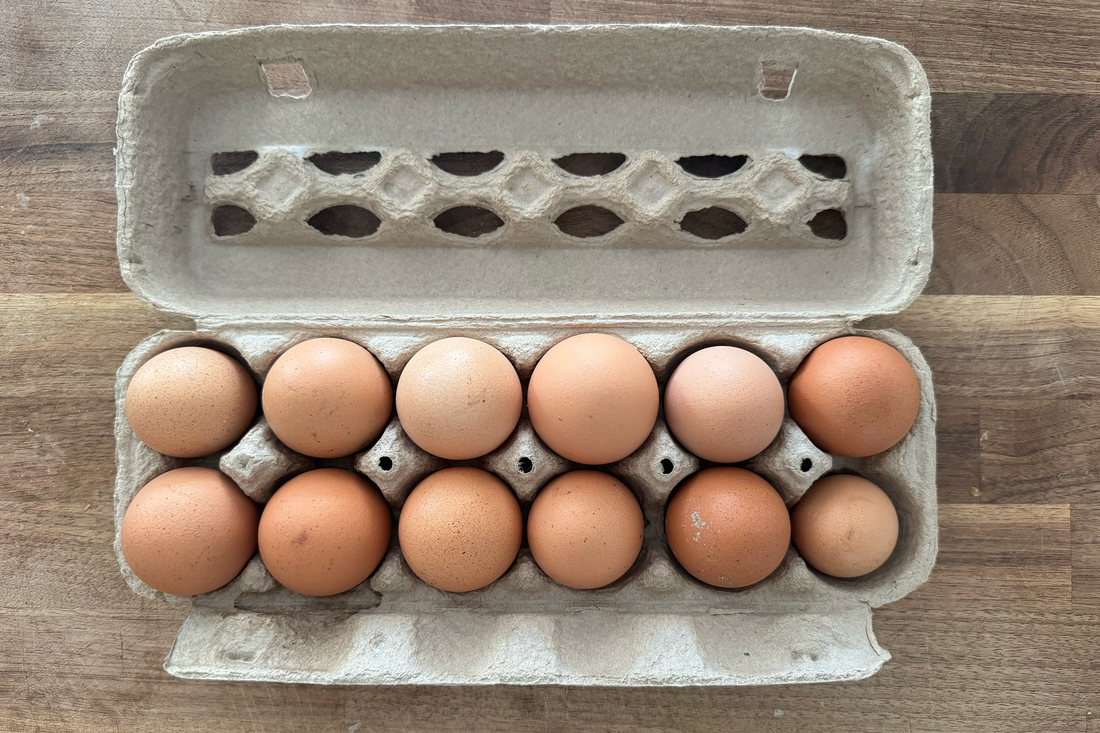 How We Choose Our Partners