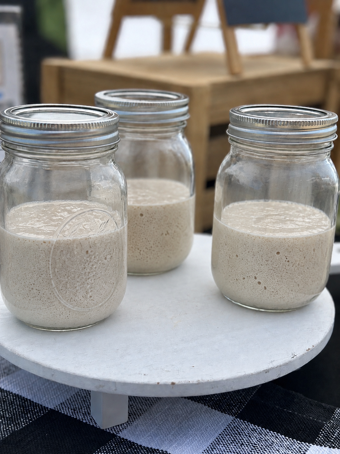 Live Sourdough Starter (glass jar)