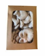 Blue Oyster Fresh Mushrooms (1lb)
