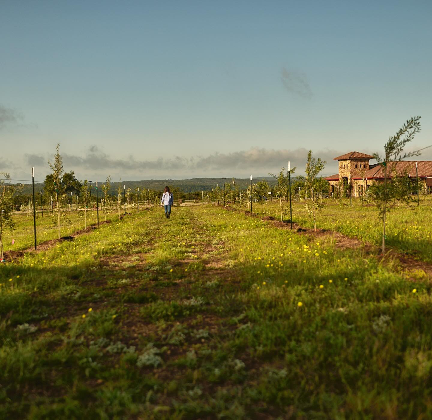 Garlic & Herb Bread Dipping Spices (1oz)