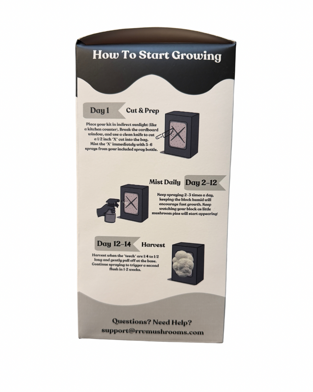 Lion's Mane Mushroom Grow Kit