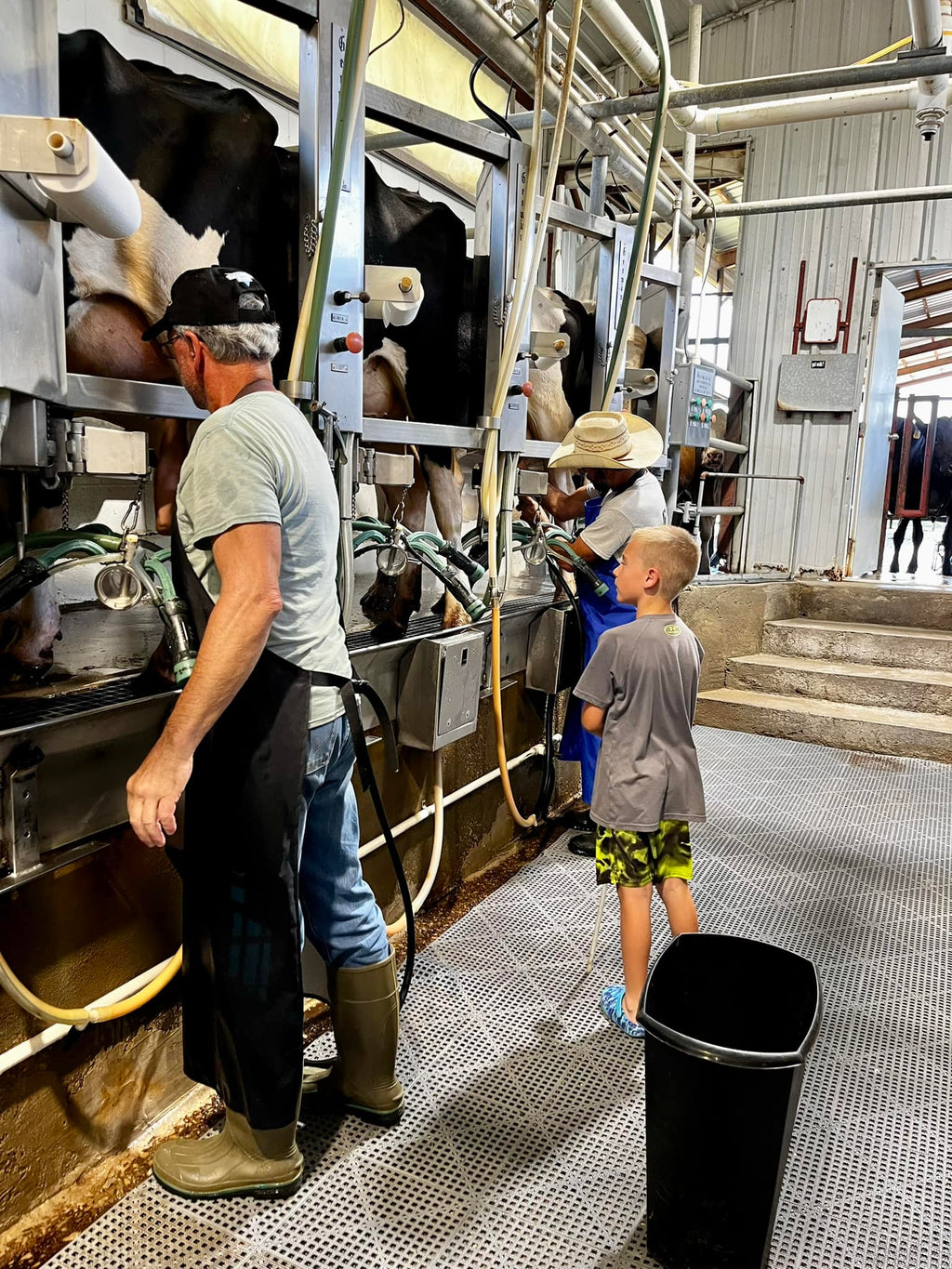 Raw Milk (Gallon or Half-Gallon)