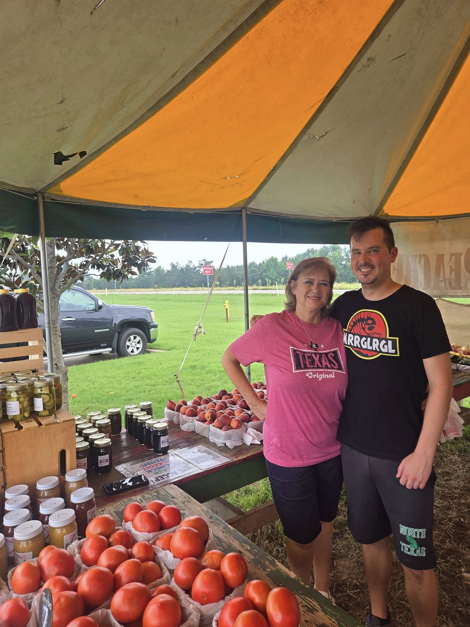 Plant - Meyer Lemon Tree