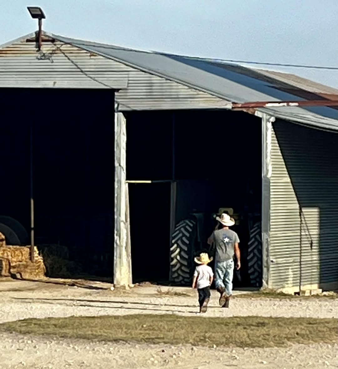 Raw Milk (Gallon or Half-Gallon)