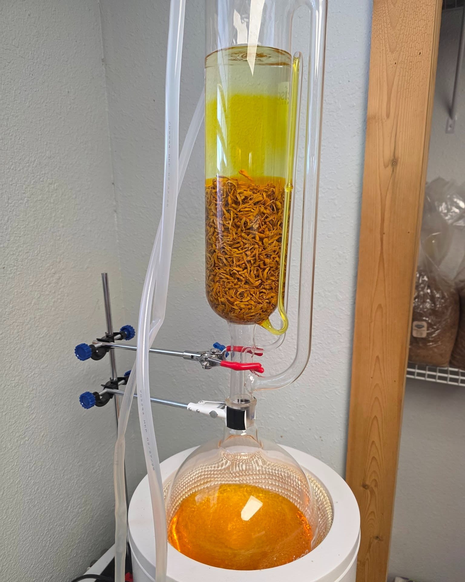 Cordyceps Mushroom Extract (1oz or 2oz)