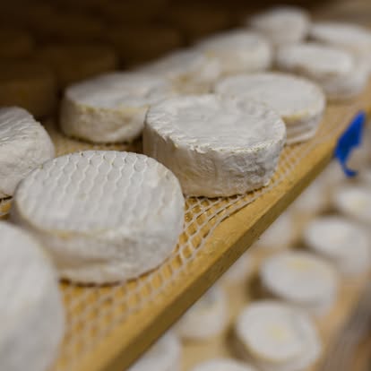 Certified Organic Doublin’ Down Double-Cream Brie-Style Cheese (Interest)