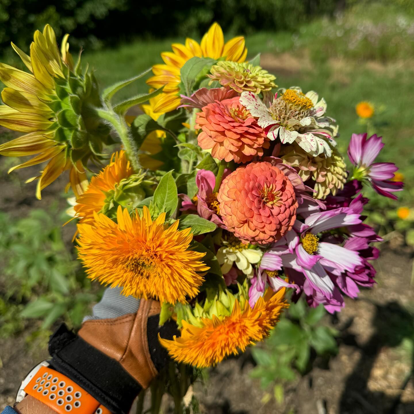 Seasonal Bouquet Wrap