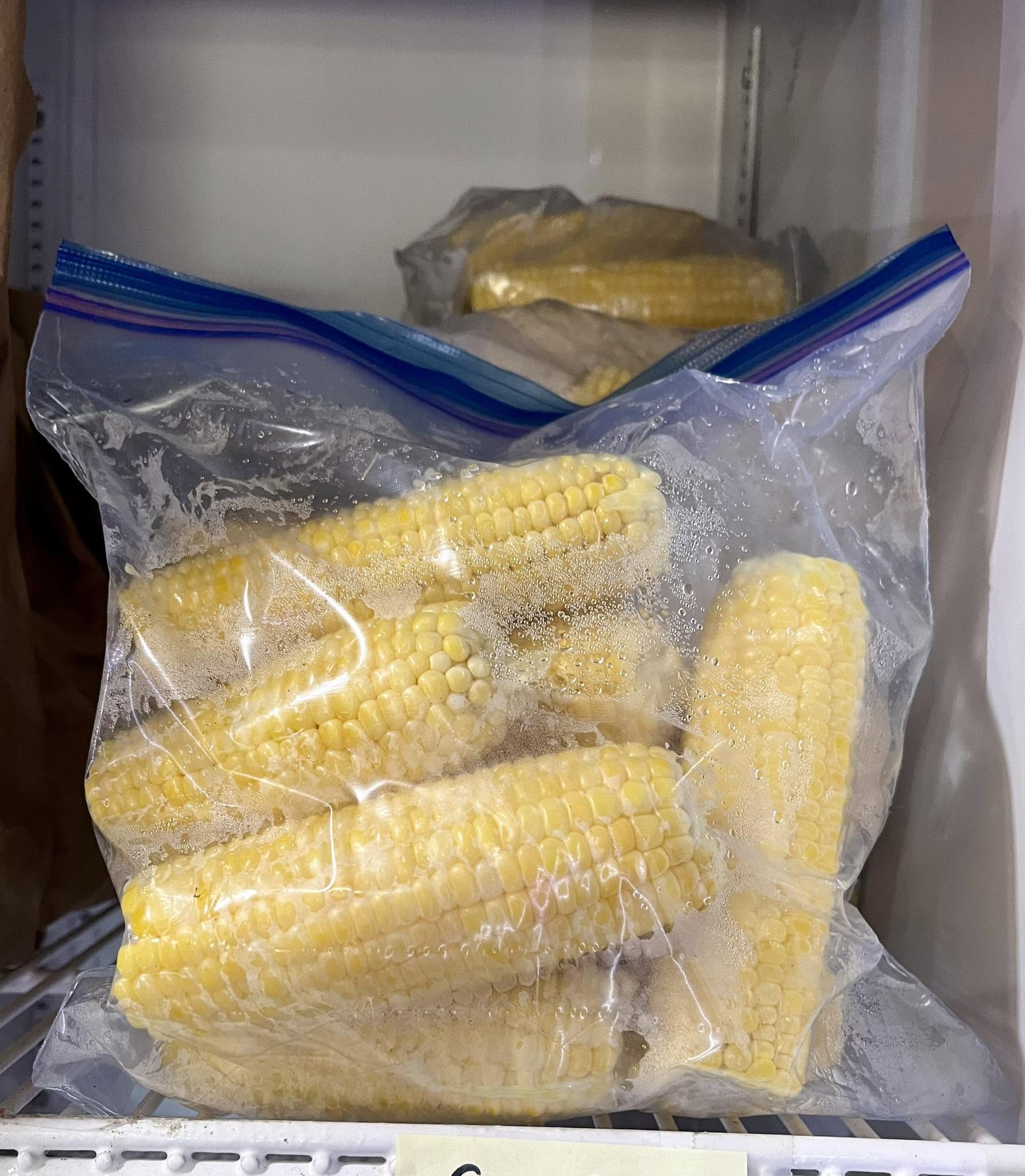 Fresh-Shucked Kandy Korn Sweet Corn (12)