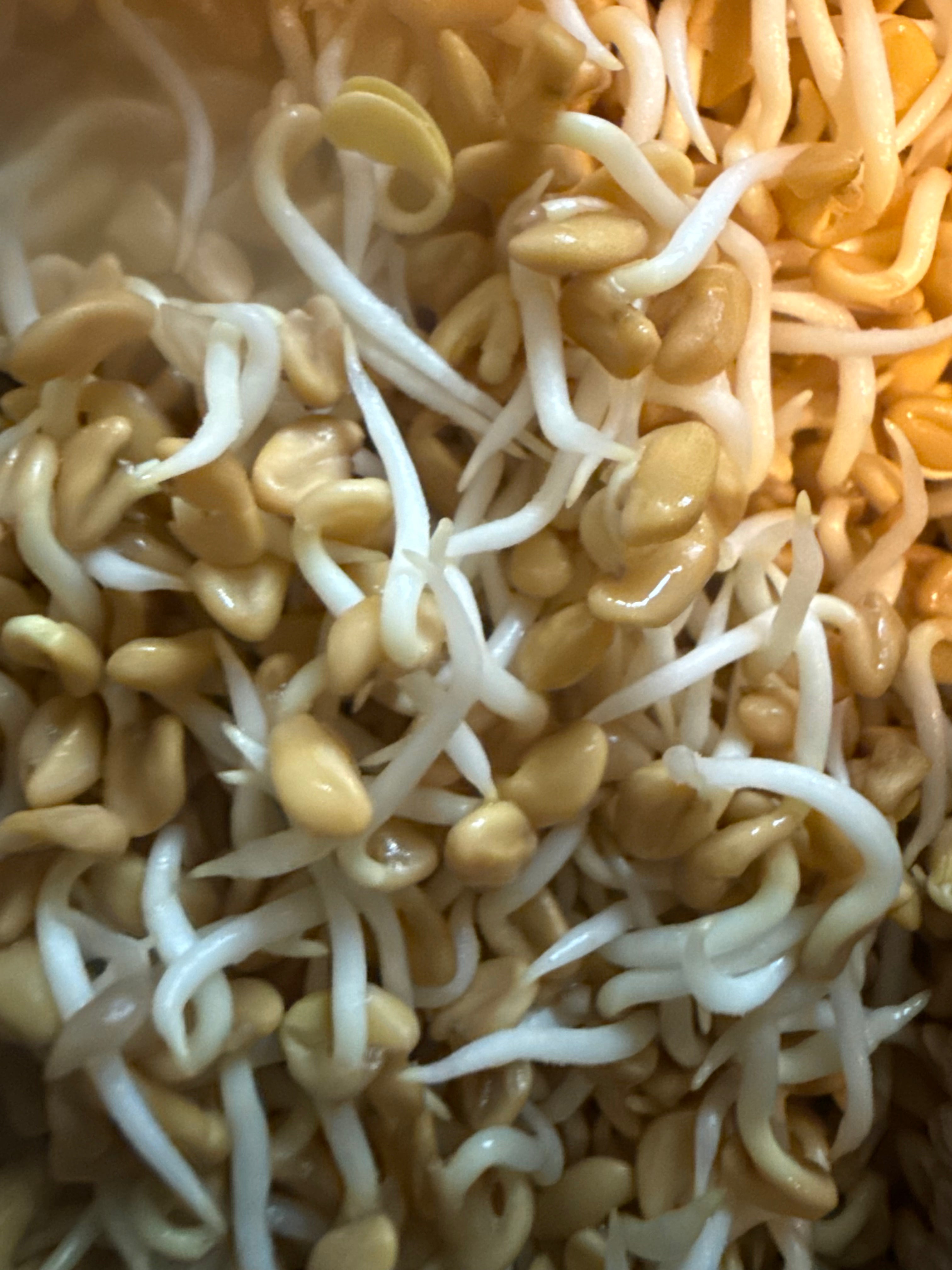 Sprouts Interest List