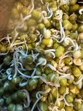 Sprouts Interest List