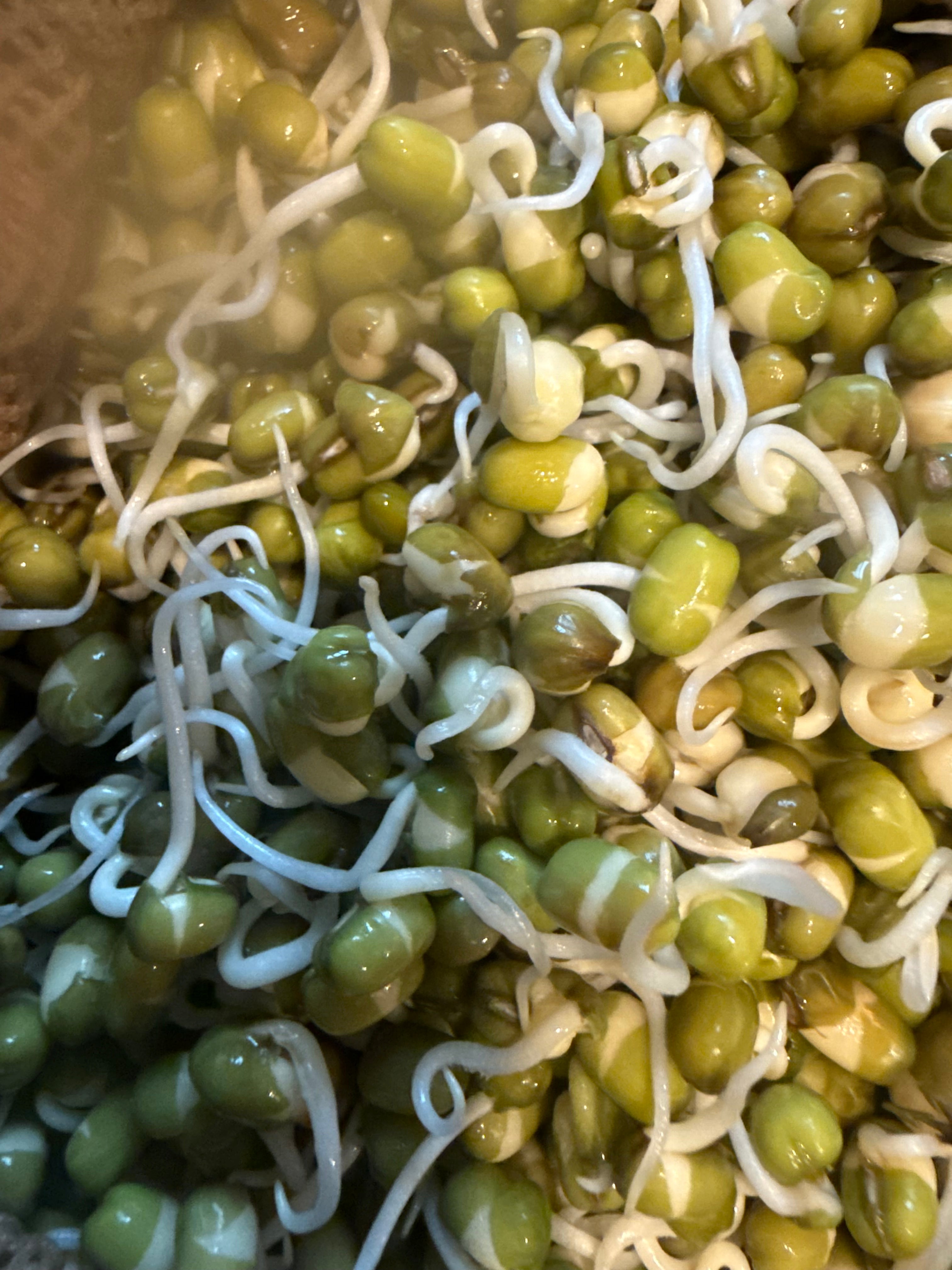 Sprouts Interest List