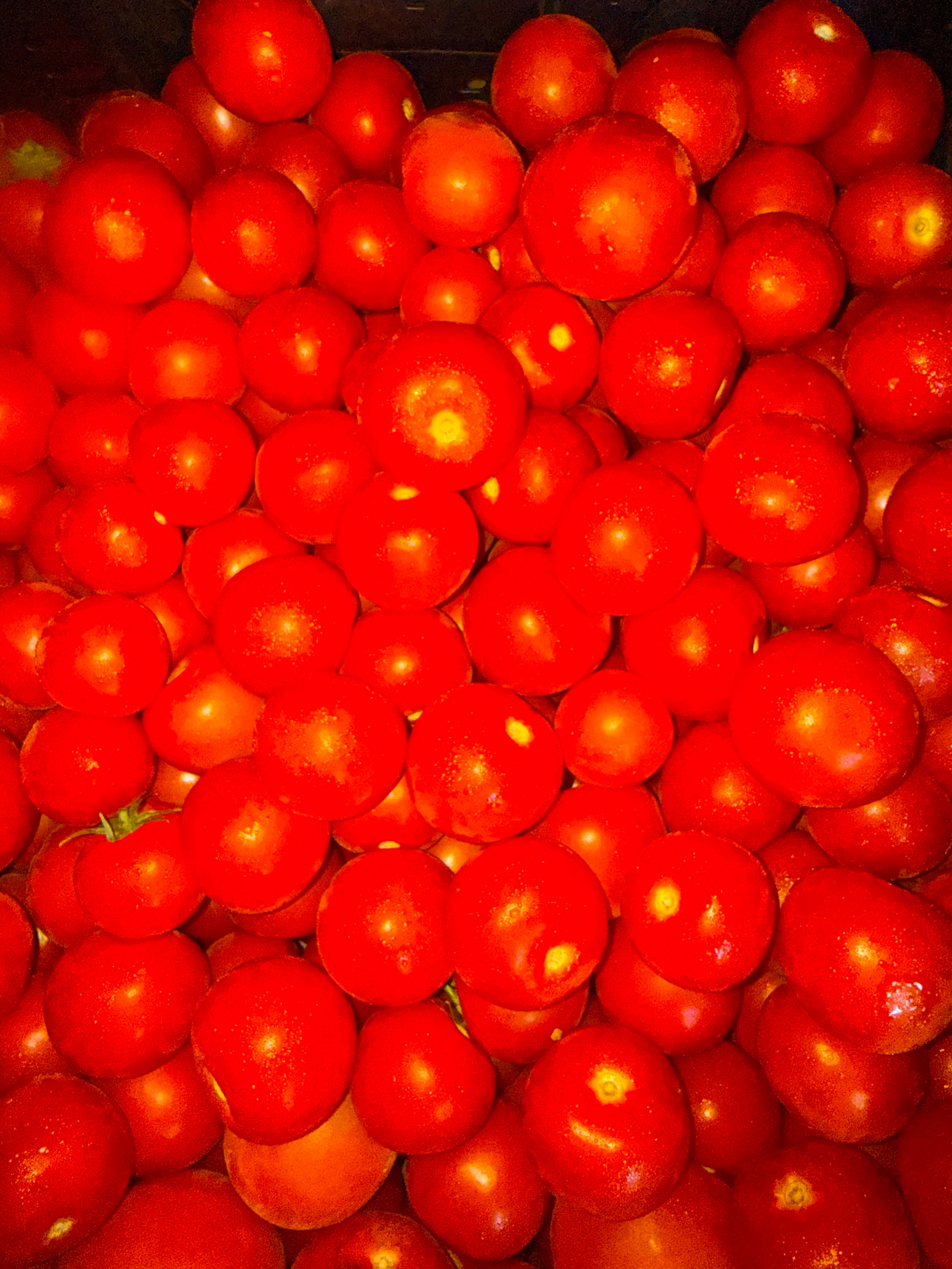 Certified Organic Tomatoes (assorted sizes, ~1lb)