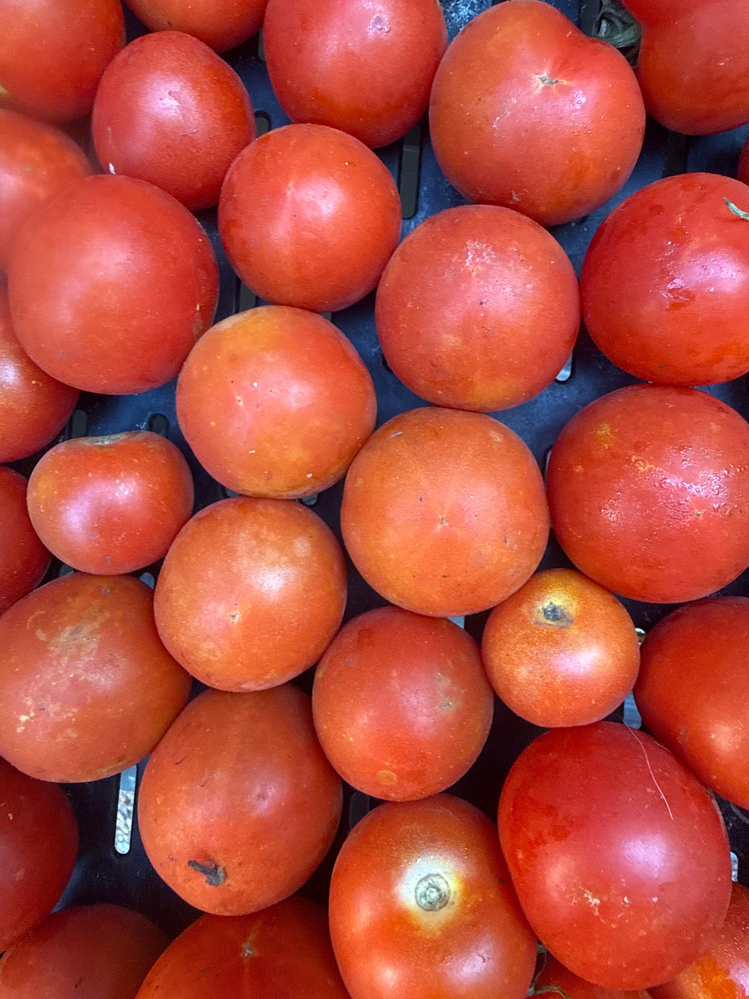 Certified Organic Tomatoes (assorted sizes, ~1lb)