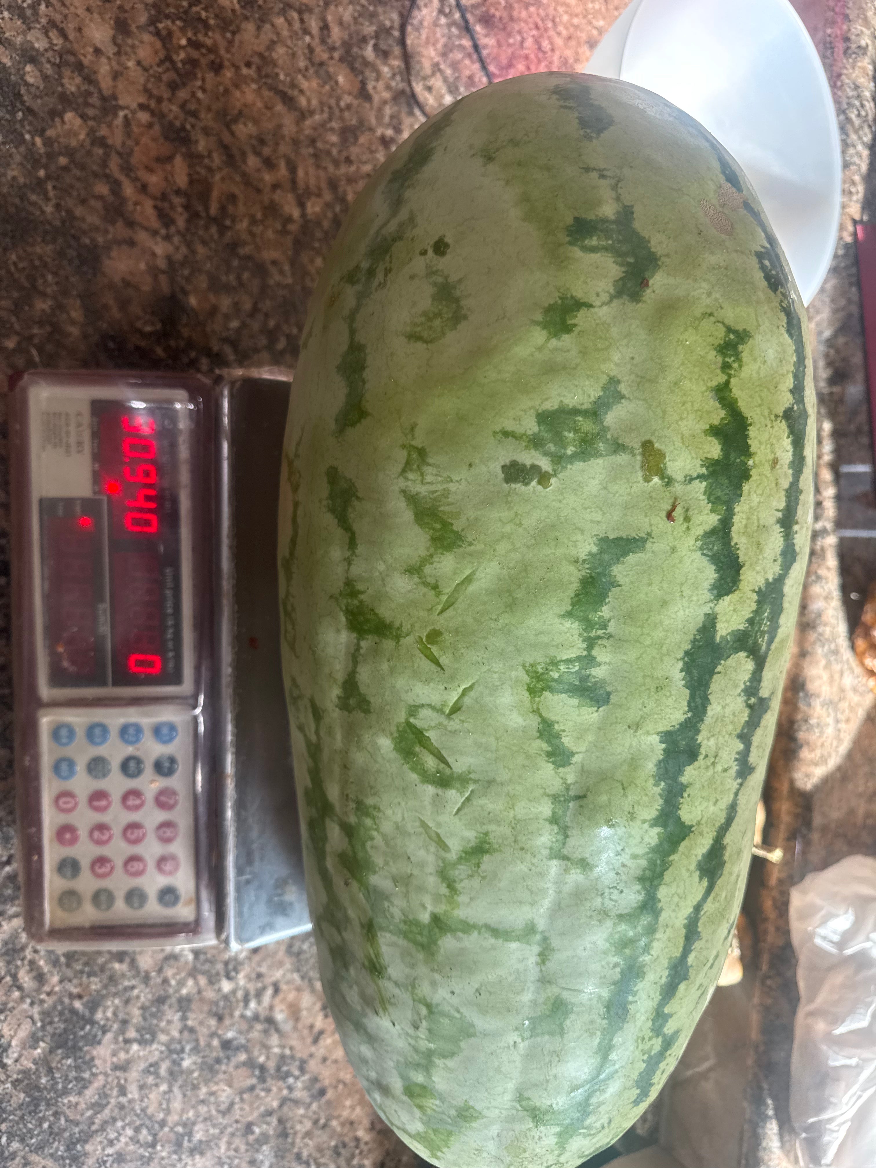 Certified Organic Watermelon (30-40lb, seeded)