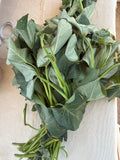 Sweet Potato Leaves (1 bunch)