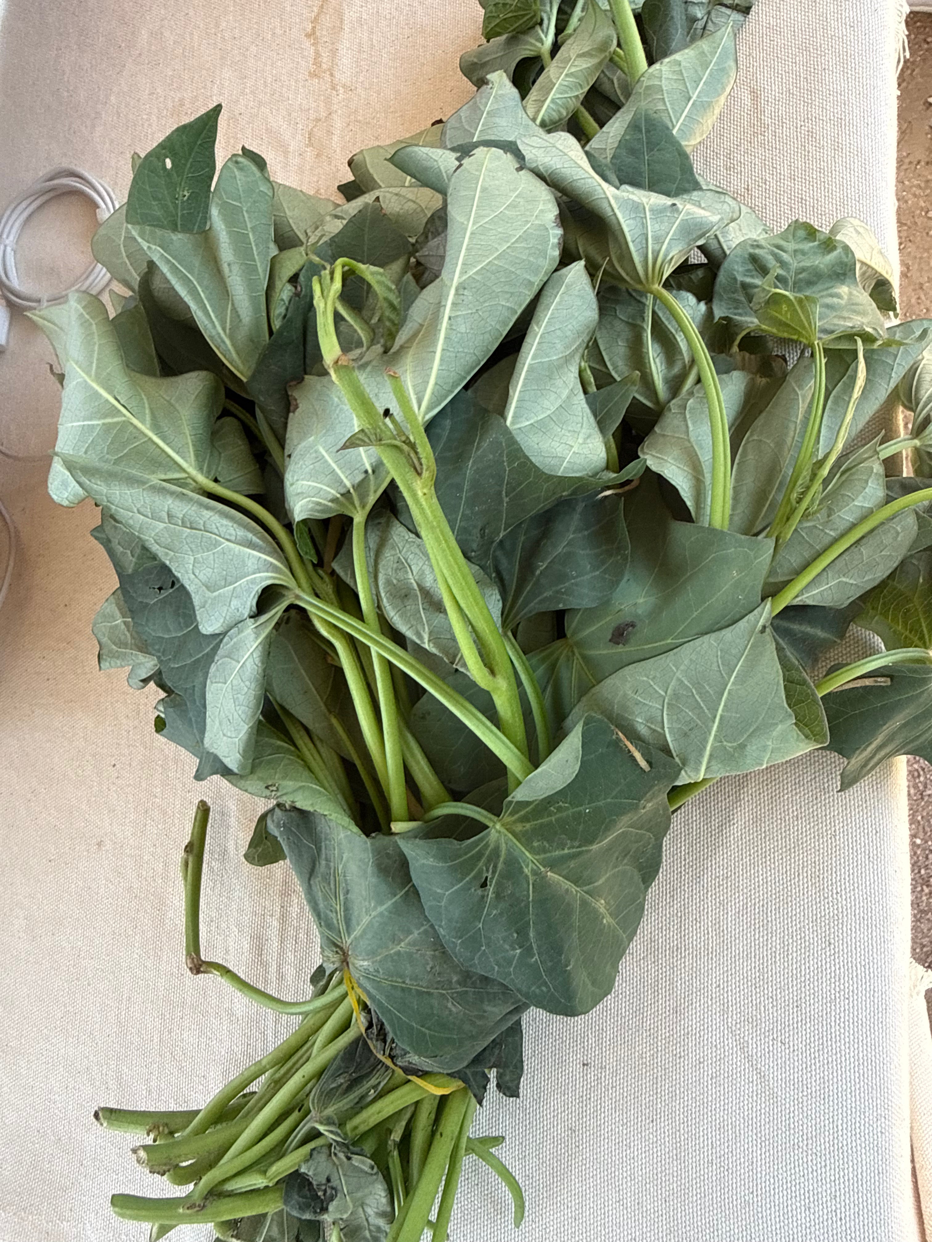 Sweet Potato Leaves (1 bunch)
