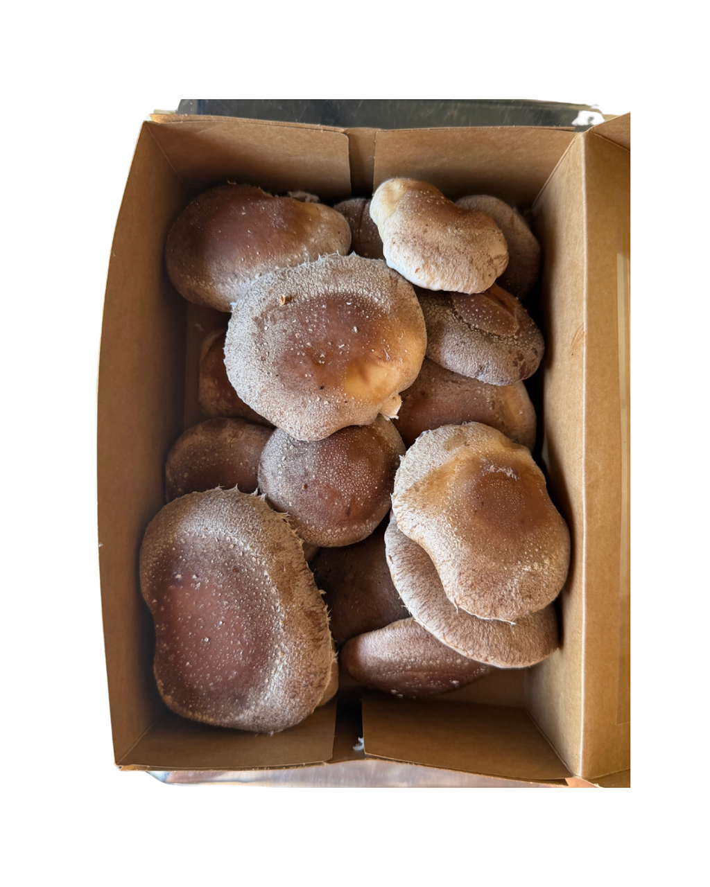 Fresh Shiitake Mushrooms (1lb)