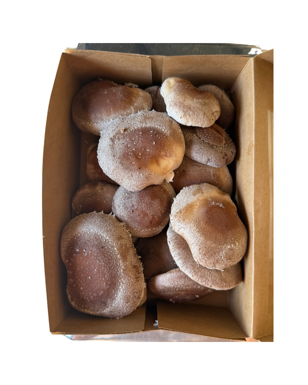 Fresh Shiitake Mushrooms (1lb)