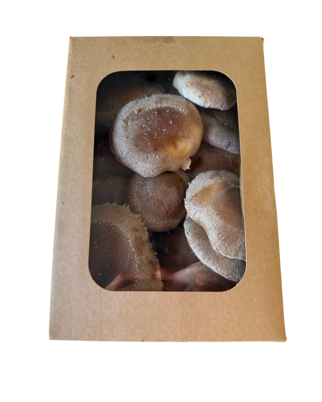 Fresh Shiitake Mushrooms (1lb)