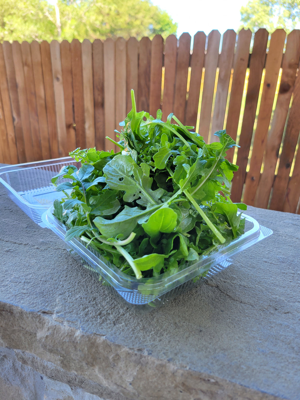 Arugula (5oz clamshell)