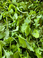 Arugula (5oz clamshell)