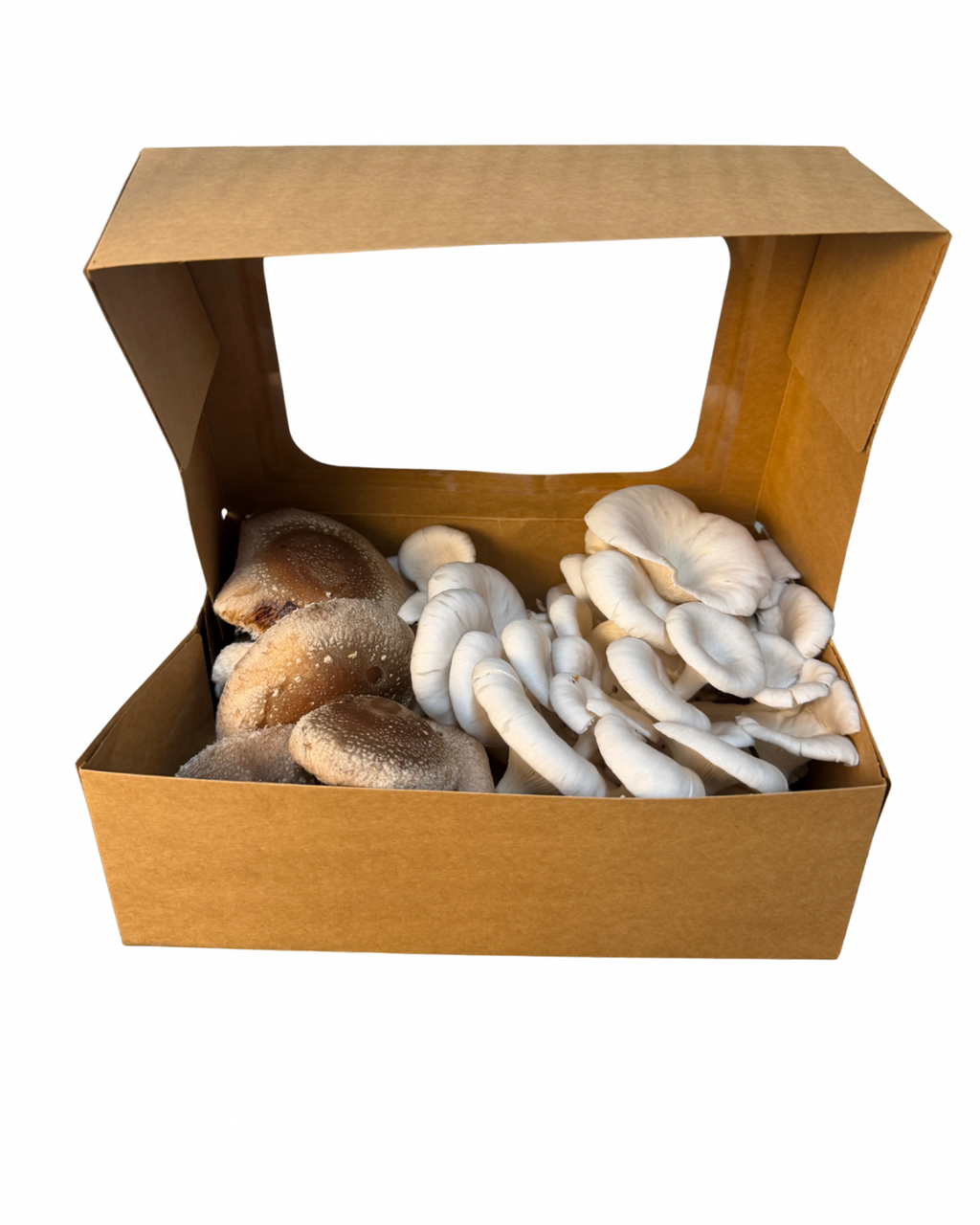 Blue Oyster + Shiitake Mix (Fresh Mushrooms, 1lb)