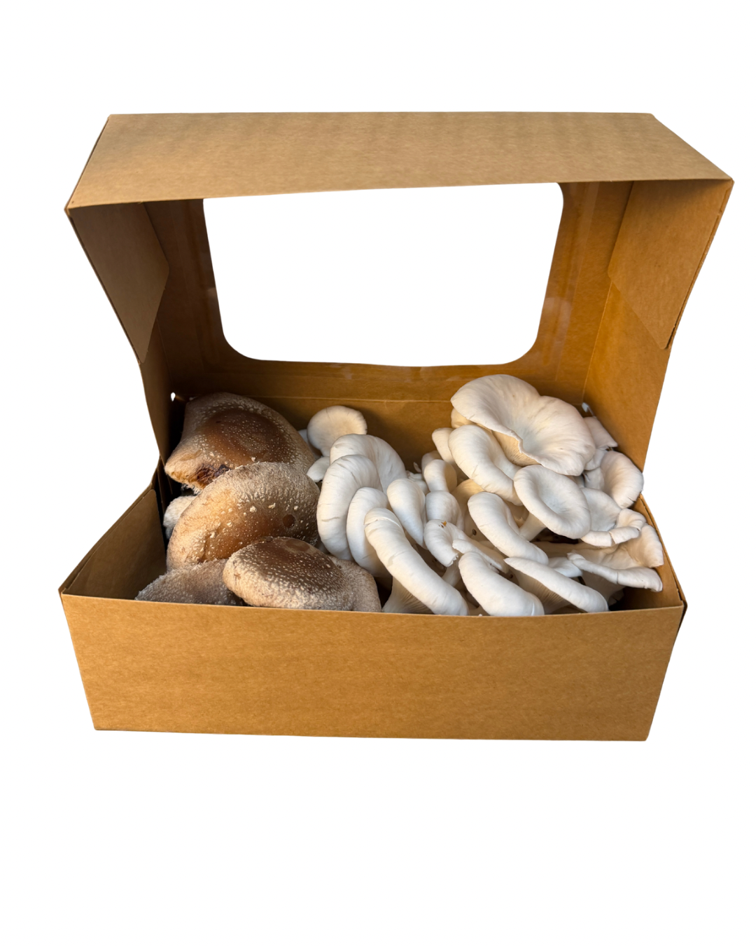 Blue Oyster + Shiitake Mix (Fresh Mushrooms, 1lb)