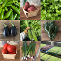 This Week’s Fresh Pick (Produce Bundle)