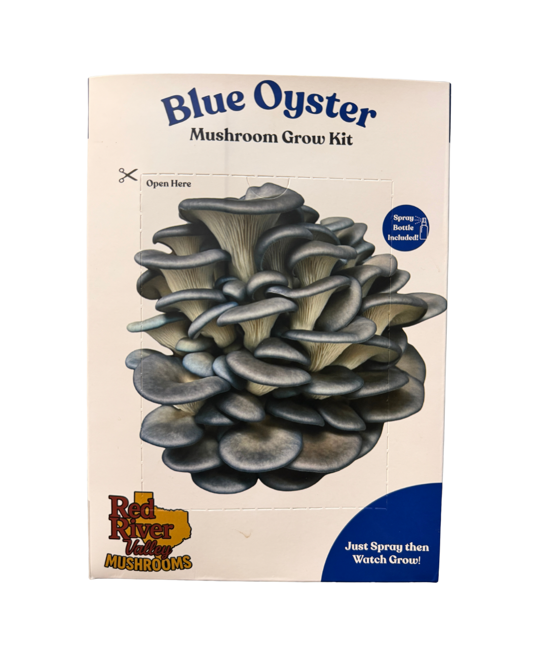 Blue Oyster Mushroom Grow Kit