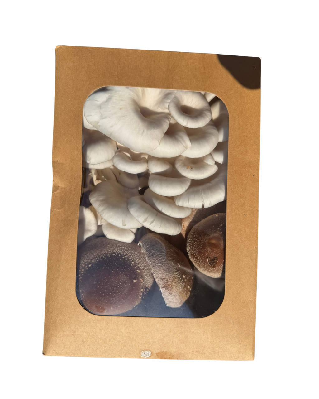 Blue Oyster + Shiitake Mix (Fresh Mushrooms, 1lb)