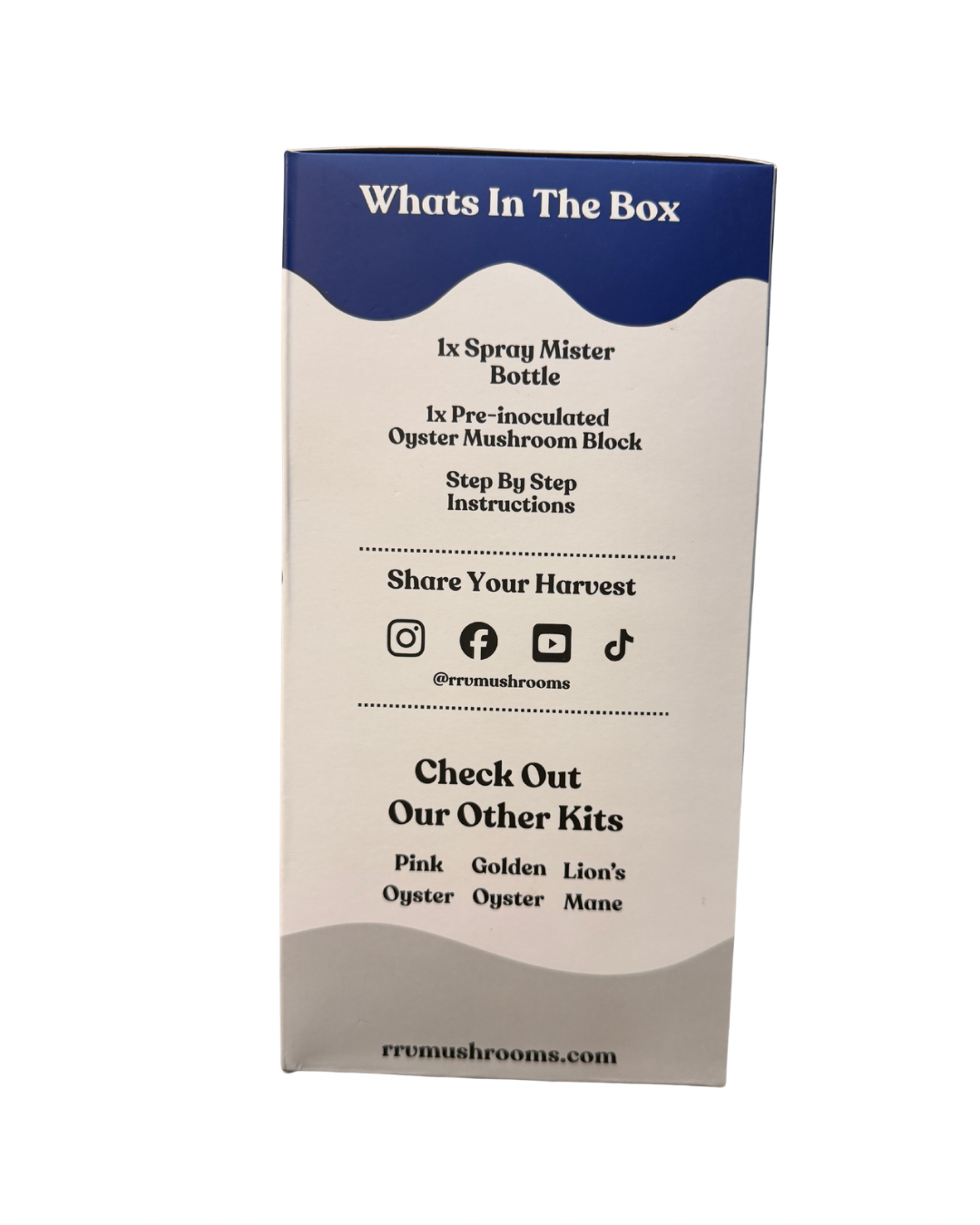 Blue Oyster Mushroom Grow Kit