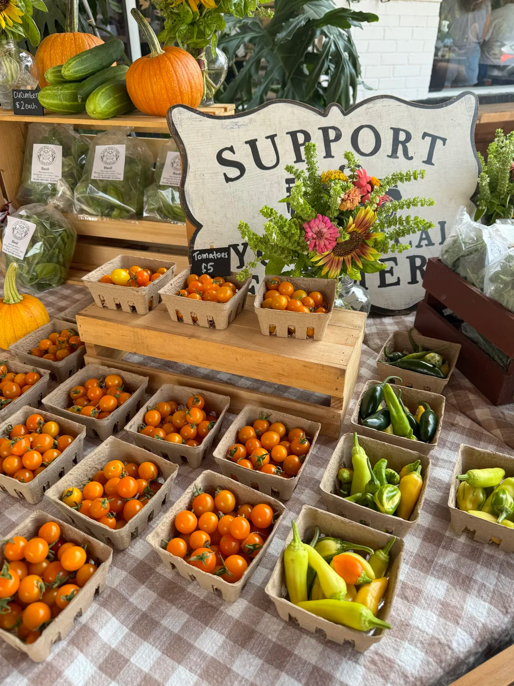 Easter Egg Radishes (approx 3-5ct)