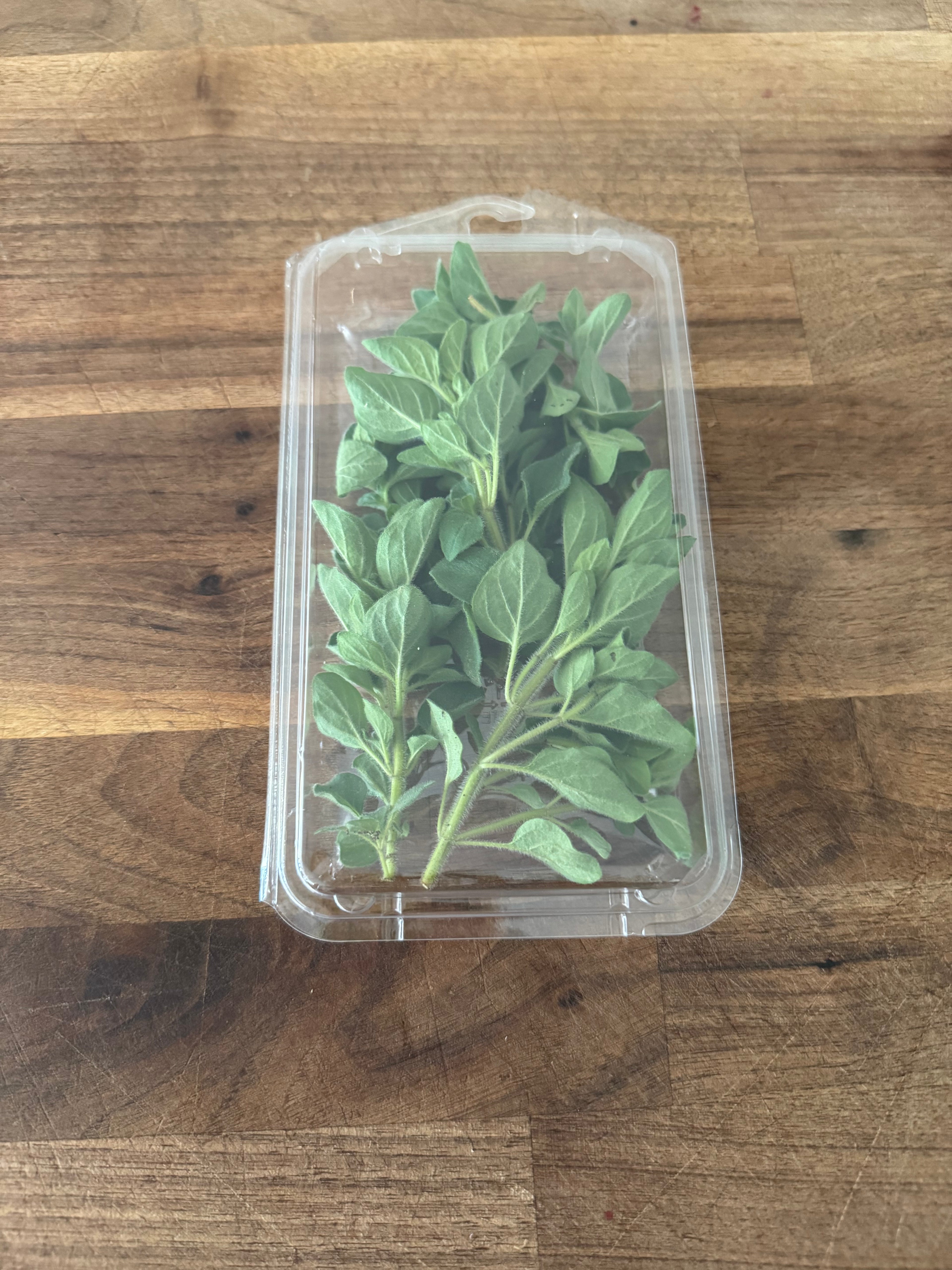 Oregano, Fresh (2oz clamshell)