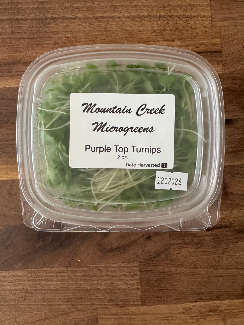 Purple Top Turnip Microgreens (1oz or 2oz)