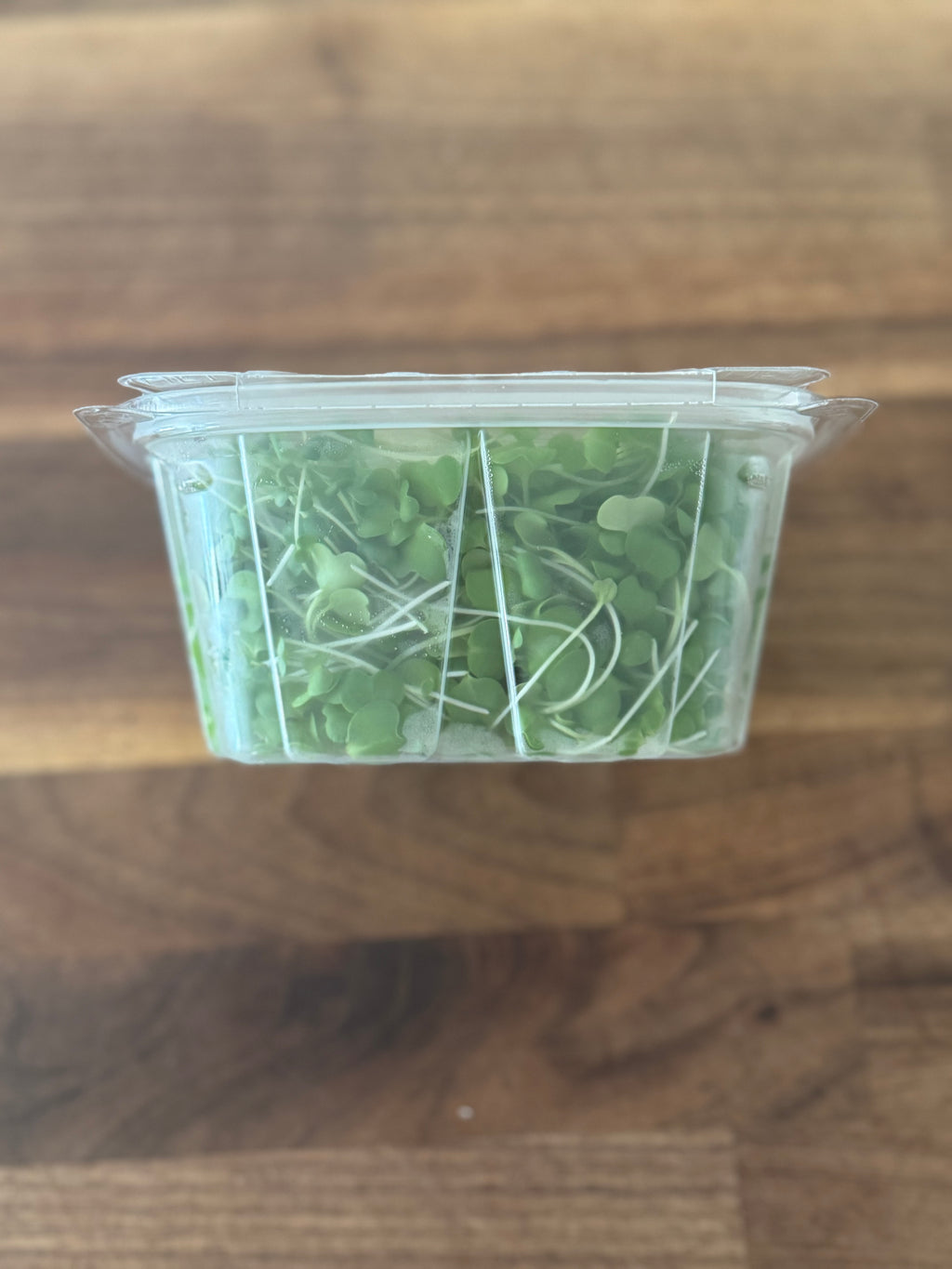 Purple Top Turnip Microgreens (1oz or 2oz)
