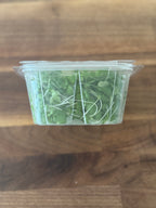 Purple Top Turnip Microgreens (1oz or 2oz)