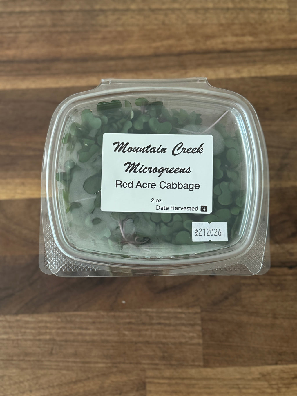 Red Acre Cabbage Microgreen Salad Blend (1oz or 2oz)