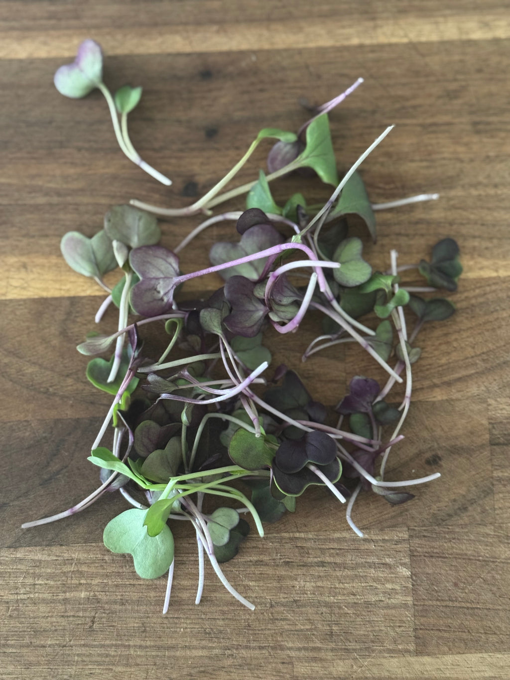 Microgreen Salad Blend (1oz or 2oz)