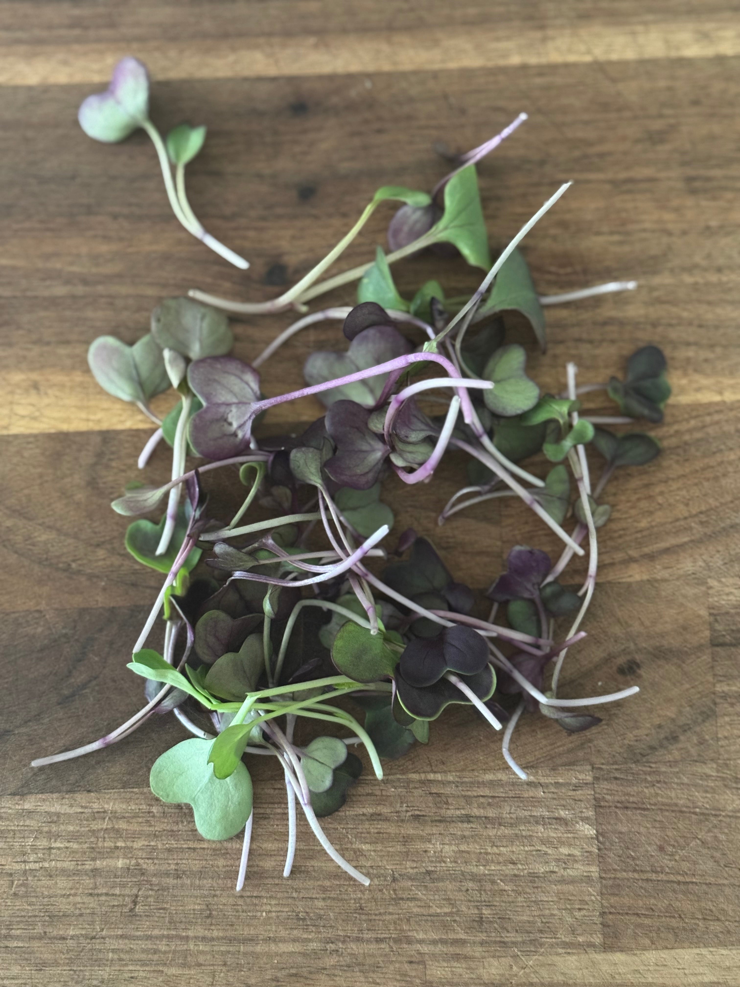 Microgreen Salad Blend (1oz or 2oz)