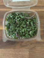Red Acre Cabbage Microgreen Salad Blend (1oz or 2oz)