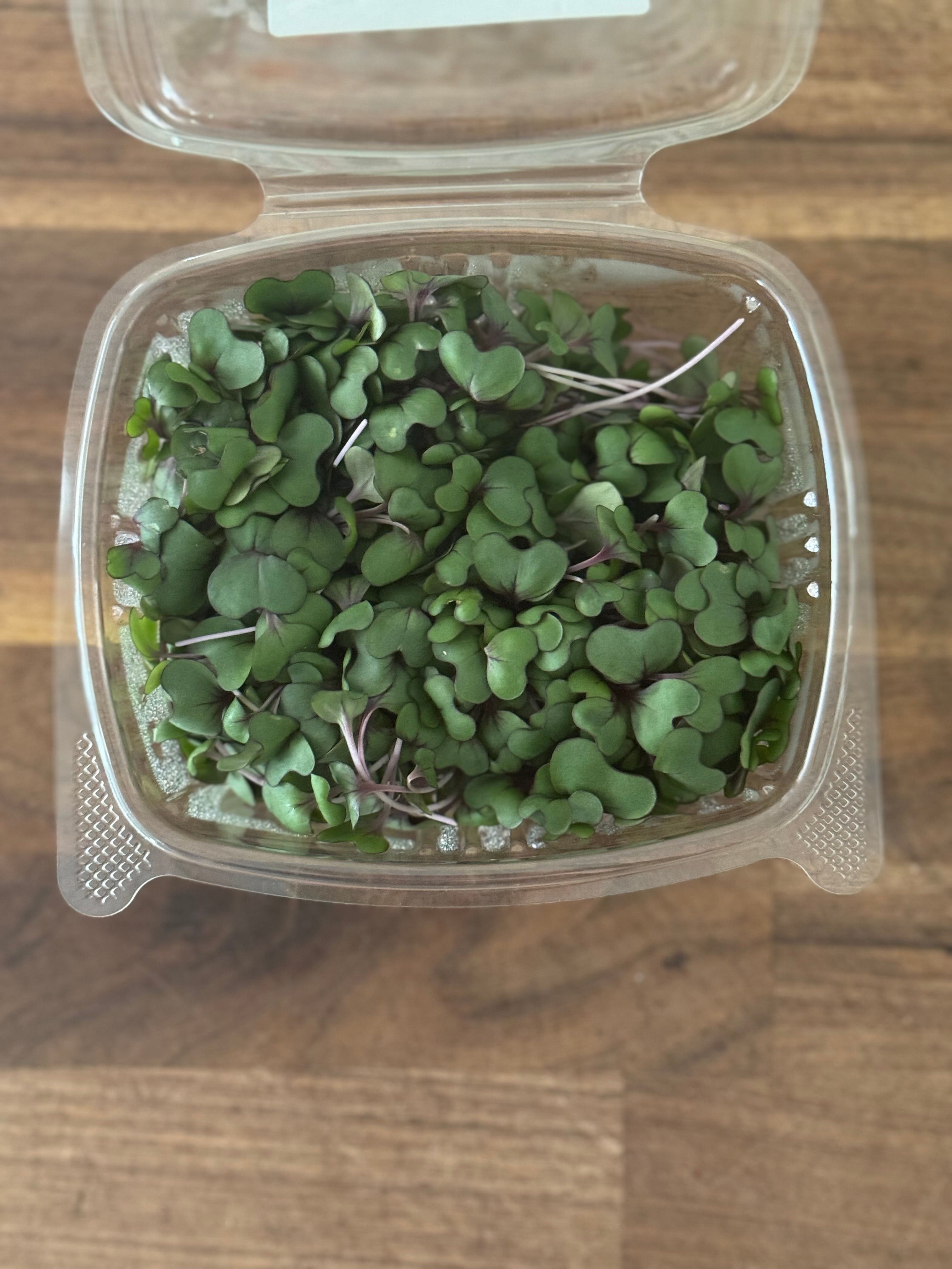Red Acre Cabbage Microgreen Salad Blend (1oz or 2oz)