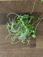 Microgreen Salad Blend (1oz or 2oz)