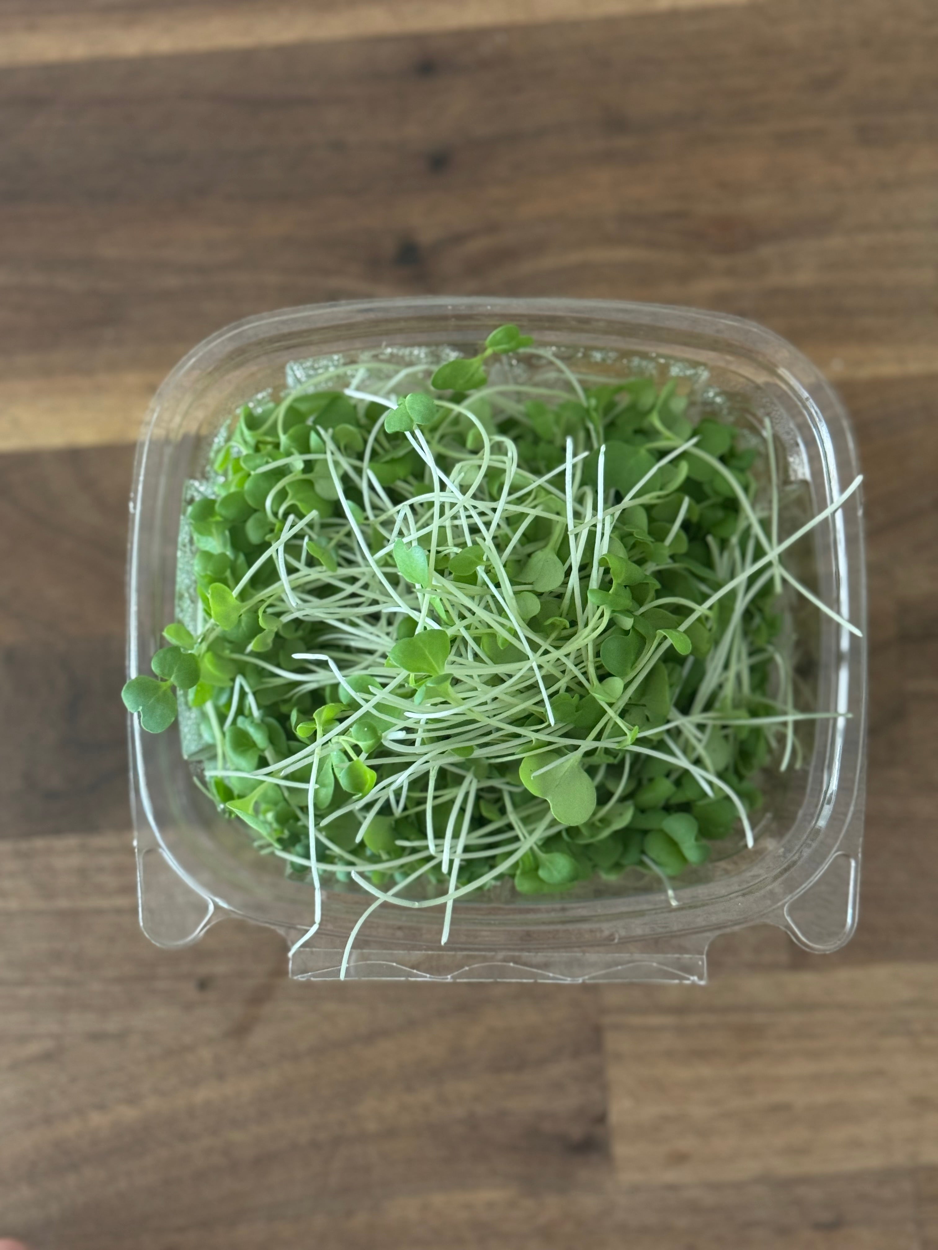 Wasabina Mustard Microgreen Salad Blend (1oz or 2oz)