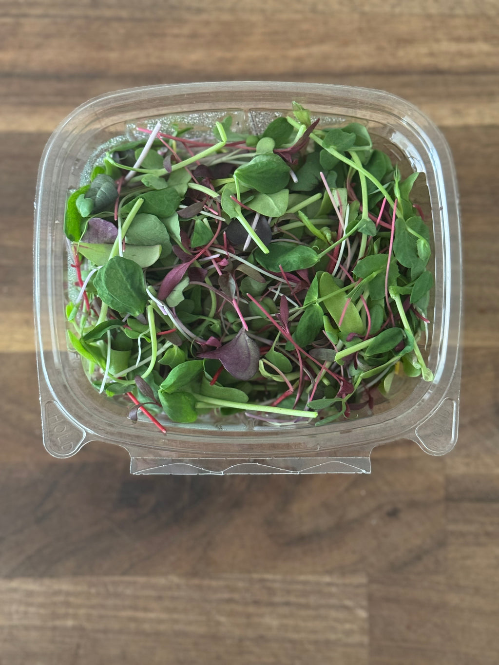 Microgreen Salad Blend (1oz or 2oz)