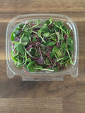 Microgreen Salad Blend (1oz or 2oz)