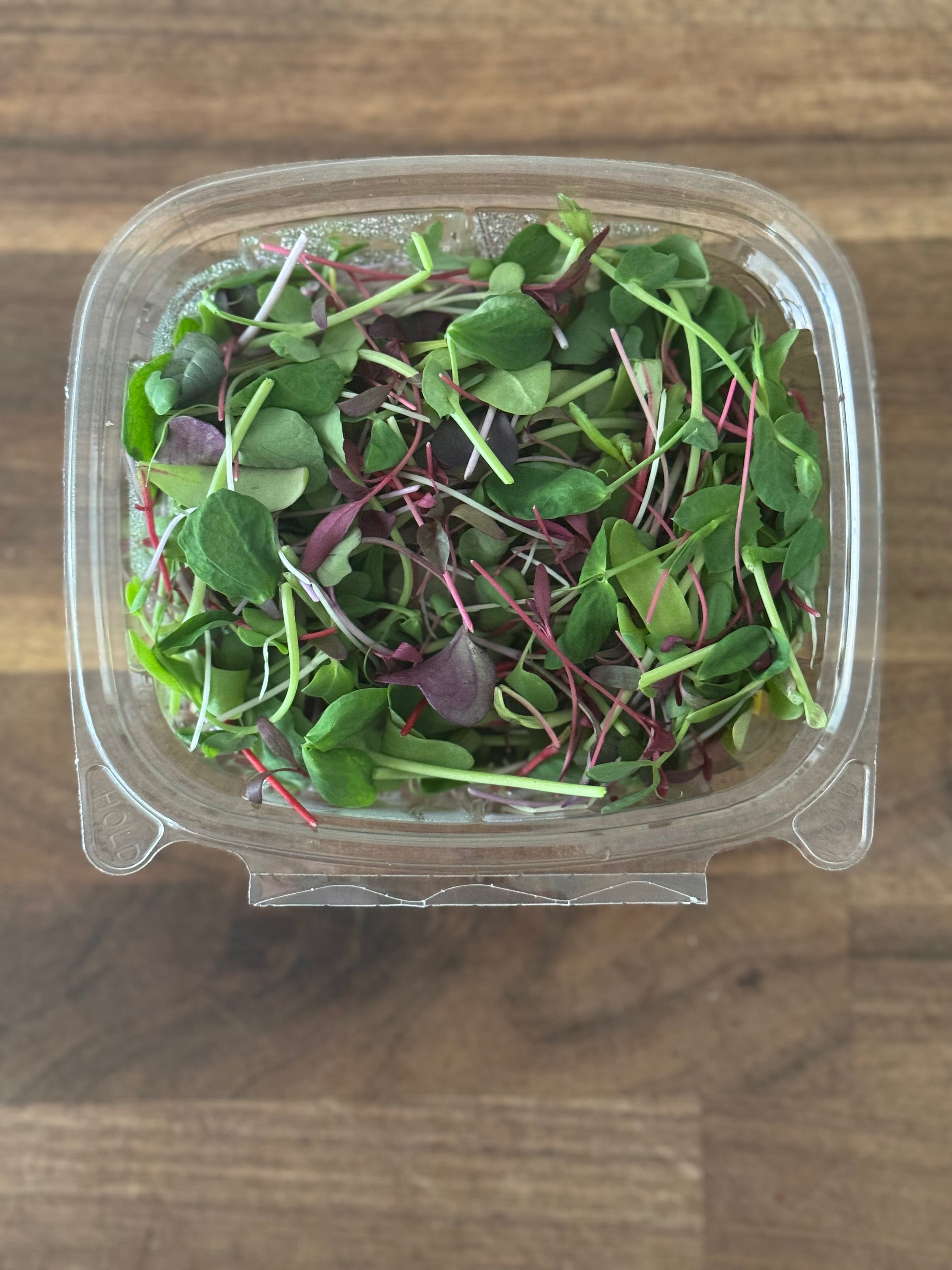 Microgreen Salad Blend (1oz or 2oz)