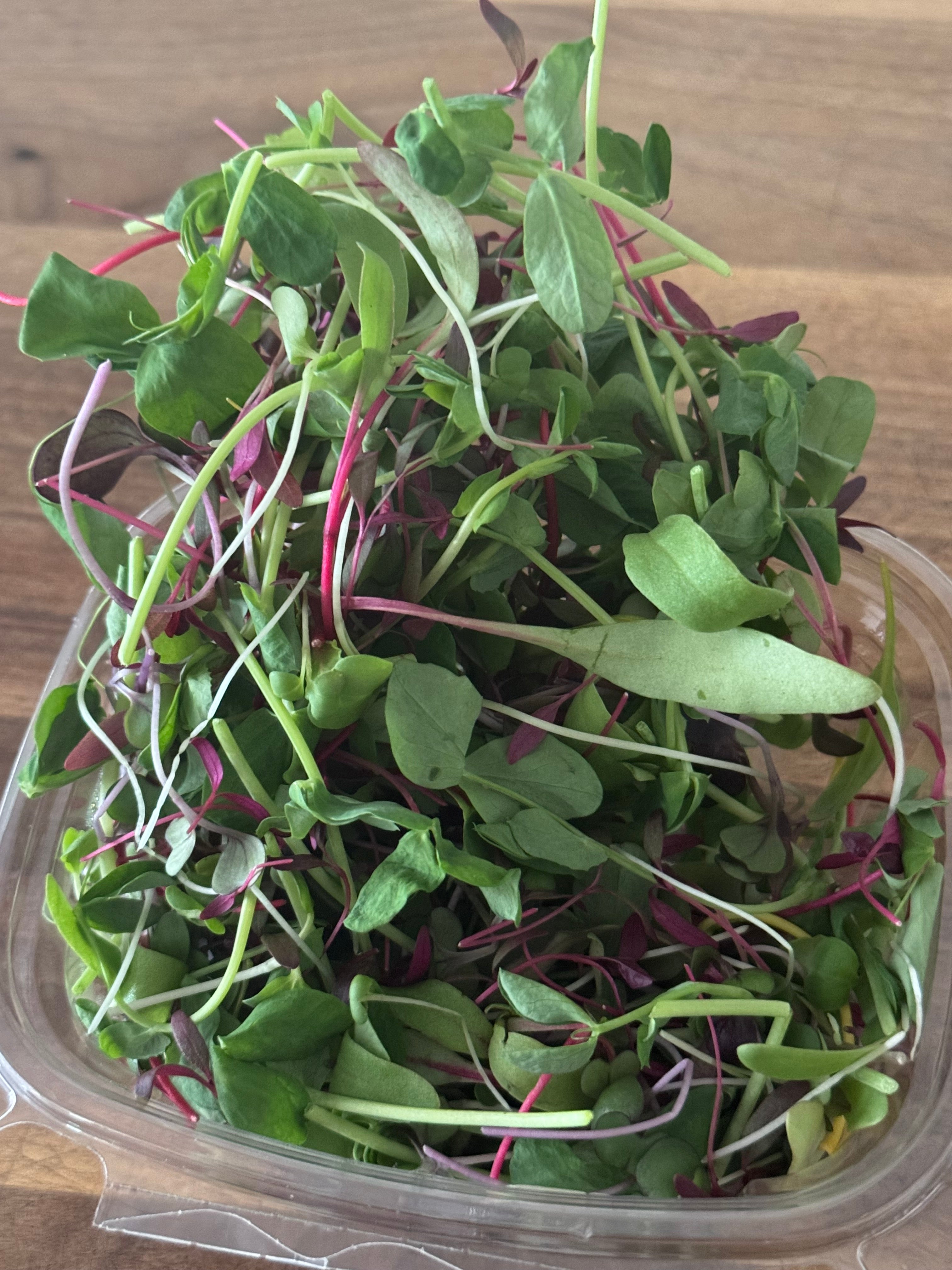 Microgreen Salad Blend (1oz or 2oz)