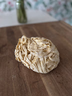 Fresh Fettuccine (Frozen, 1lb)