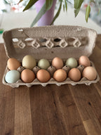 Pasture-Raised Eggs